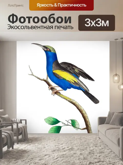Фотообои Колибри винтаж искусство старый