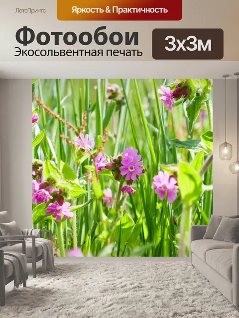Фотообои Розовый