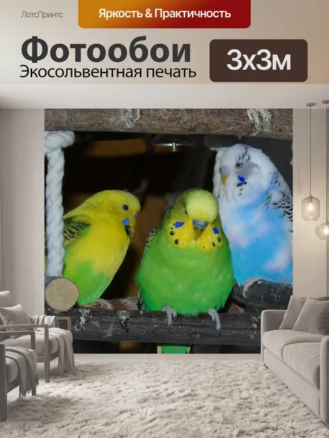 Фотообои Волнистый попугайчик