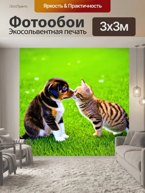 Фотообои кот, весело играющий с щенком на зеленом травяном покрытии