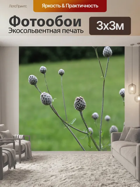 Фотообои Луг