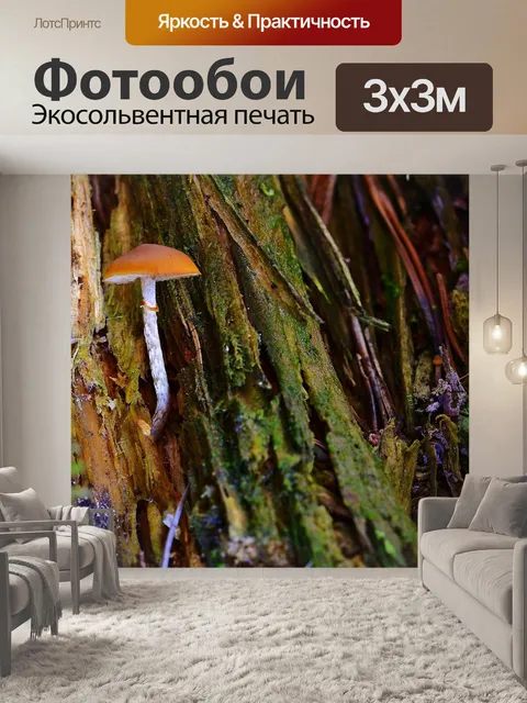 Фотообои Маленький гриб