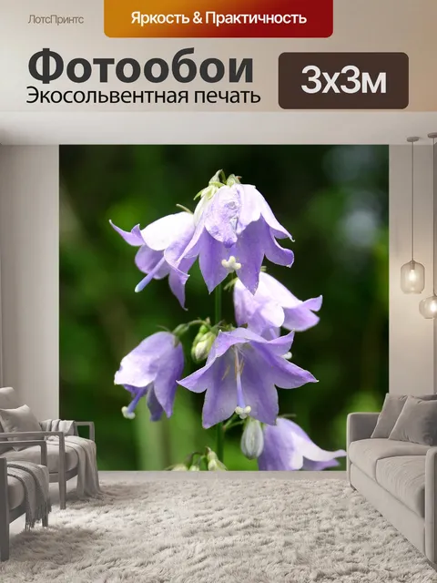Фотообои Доры не прут
