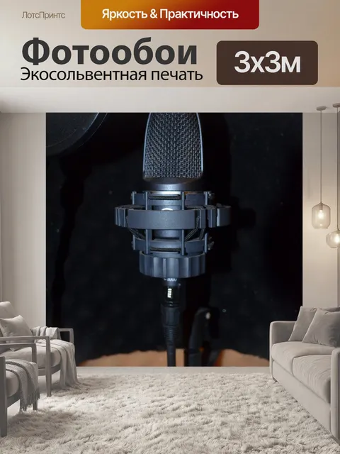 Фотообои Микрофон