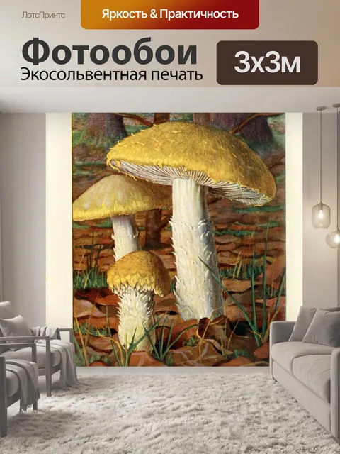 Фотообои Грибы век винтаж старый