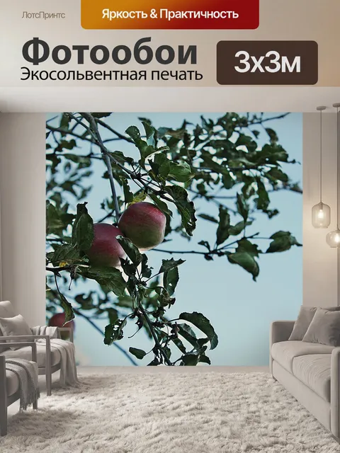 Фотообои Яблоки