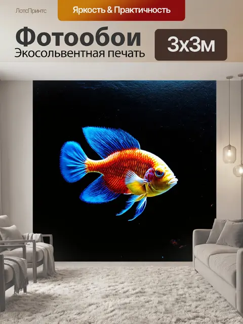 Фотообои на черном холсте подводного мира сочетание цветов и форм создает ощутимое ощущение наслаждения