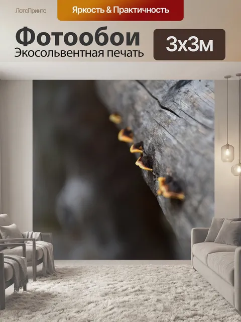 Фотообои Губка для дерева с красными краями