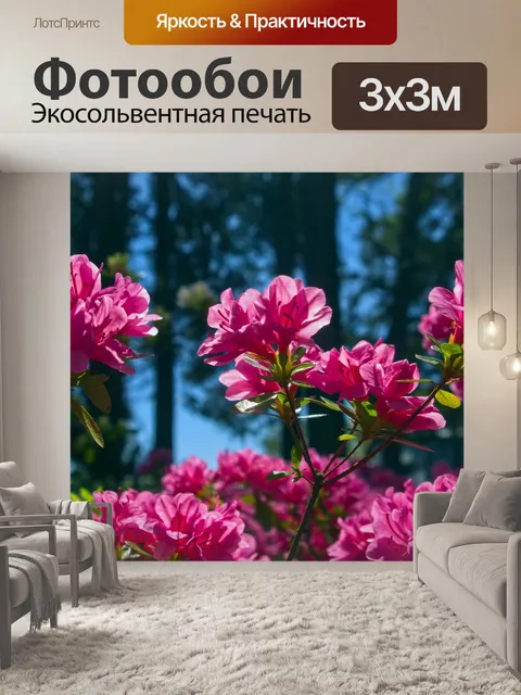 Фотообои Розовая азалия в арканзасе