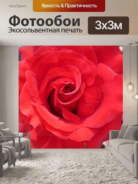 Фотообои Роза