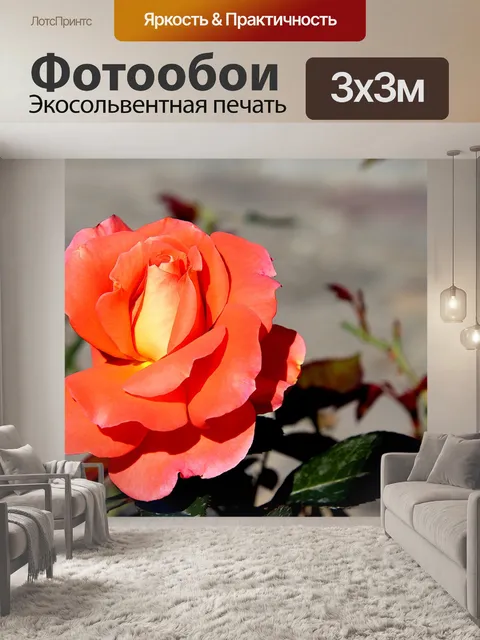 Фотообои Розовый