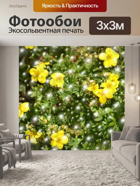 Фотообои Цветы Шары и пузыри