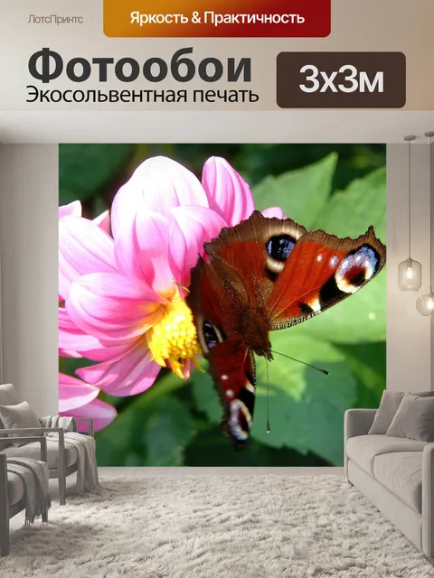 Фотообои Бабочка
