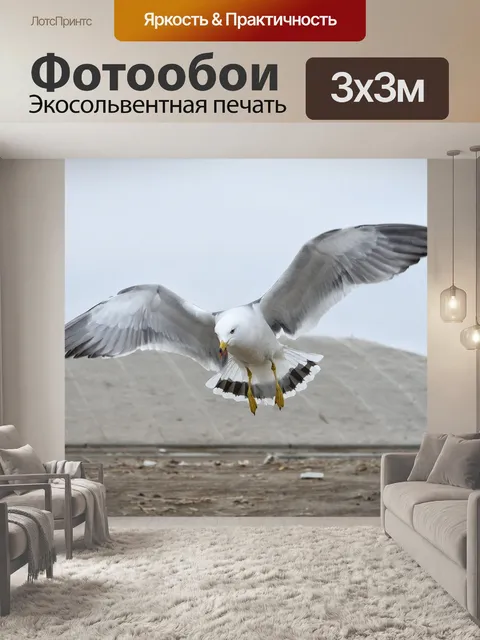 Фотообои Животное