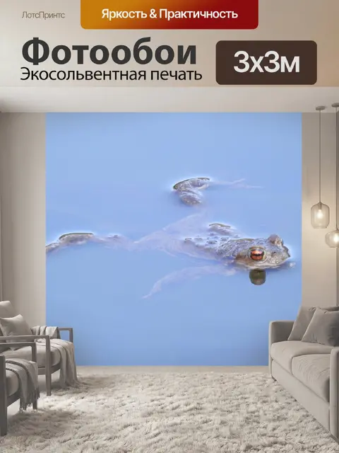 Фотообои Лягушка