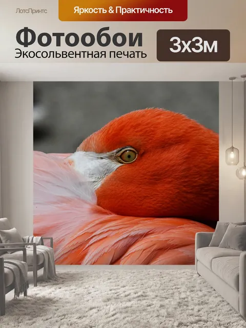 Фотообои Отдыхающий фламинго