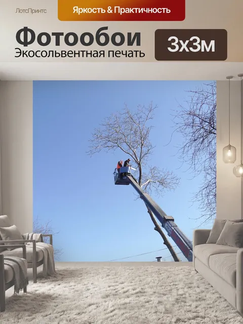 Фотообои Спил
