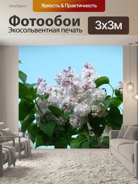 Фотообои Бледно-розовый lilacs
