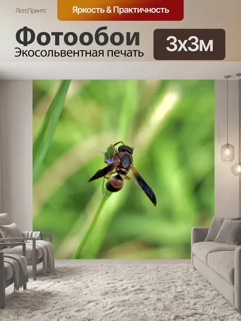 Фотообои Оса