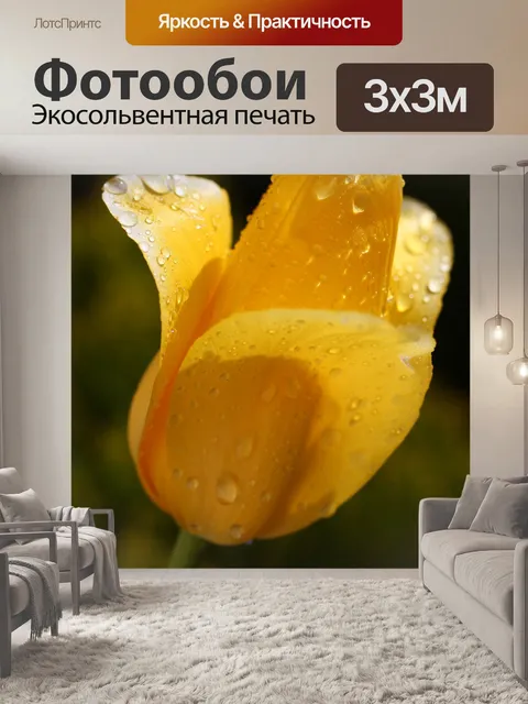 Фотообои Желтый тюльпан