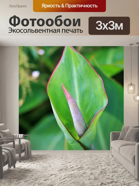 Фотообои Новый Канна лист