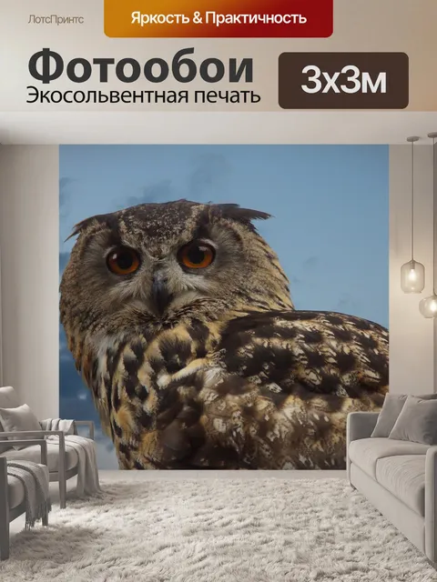Фотообои Птица