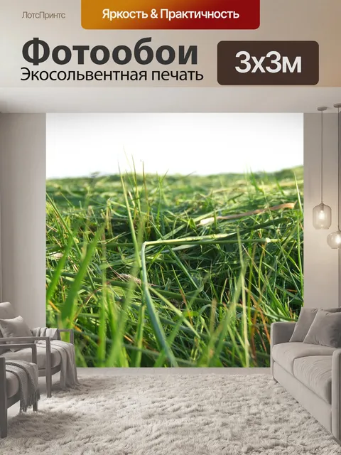 Фотообои Трава