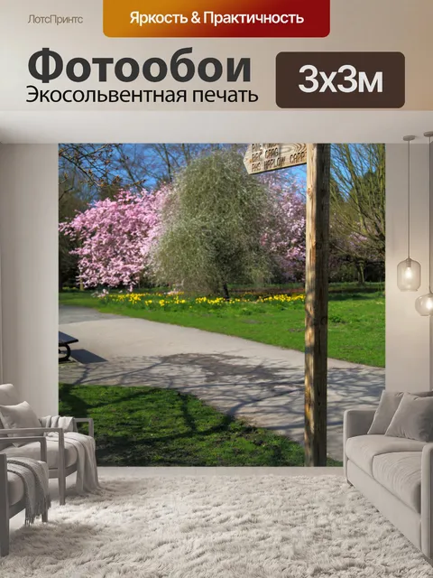 Фотообои Тропинка в сосновом лесу