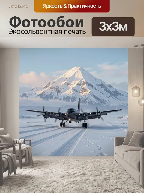 Фотообои Самолет на снежной полосе