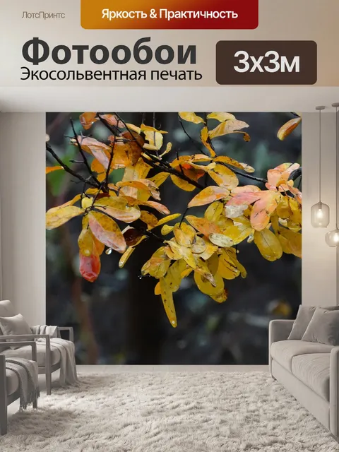 Фотообои Осень