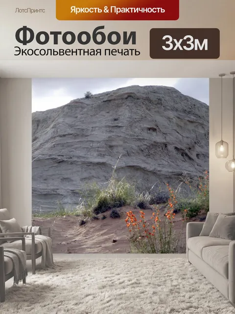 Фотообои Серая гора
