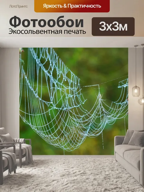 Фотообои Паутина росинка арт природа