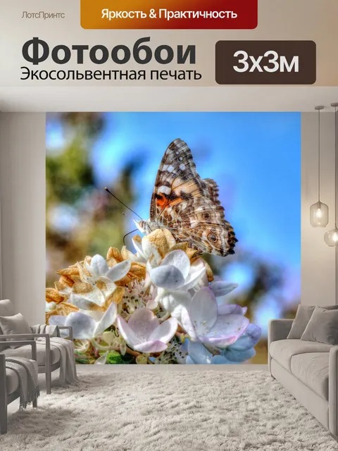 Фотообои бабочка