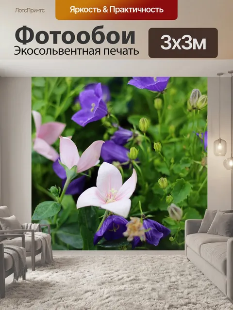 Фотообои Цветы