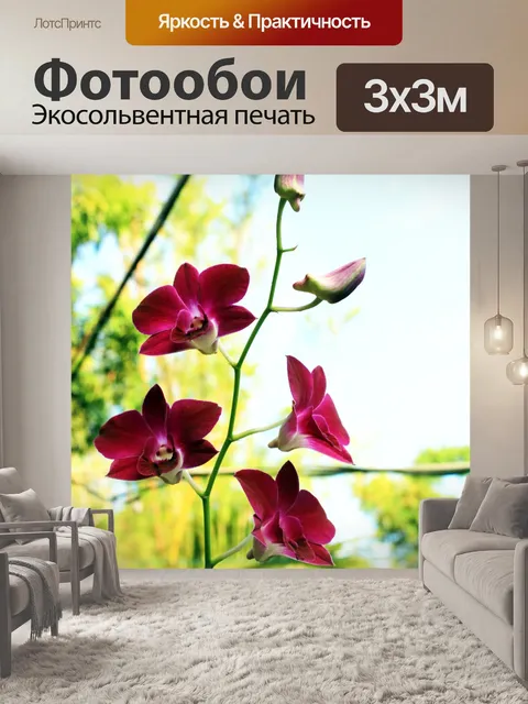 Фотообои орхидеи 2