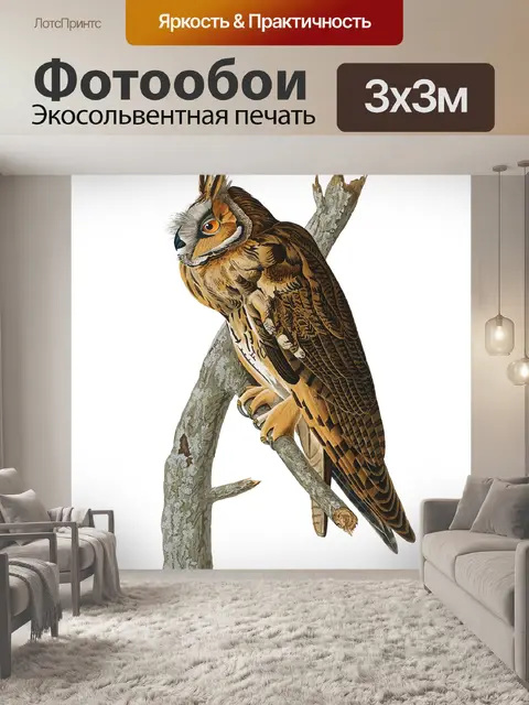 Фотообои Сова Винтаж клипарт наклейки