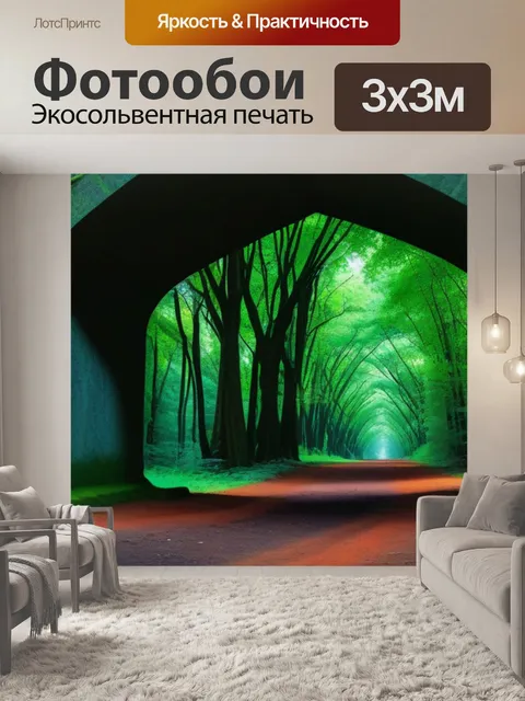 Фотообои деревья, образующие арку в лесу