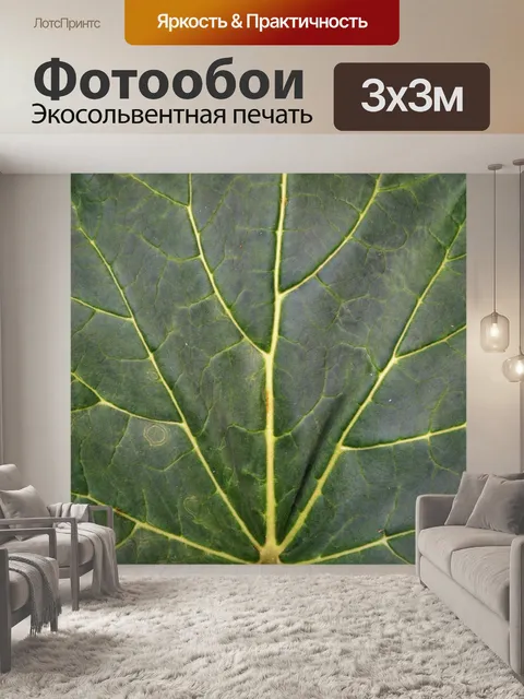 Фотообои большой прожилками листьев