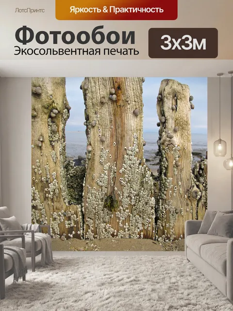 Фотообои Сценировать