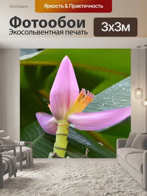 Фотообои Цветы