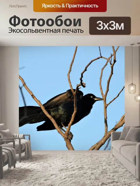 Фотообои Большехвостая гракл-птица на дереве 2