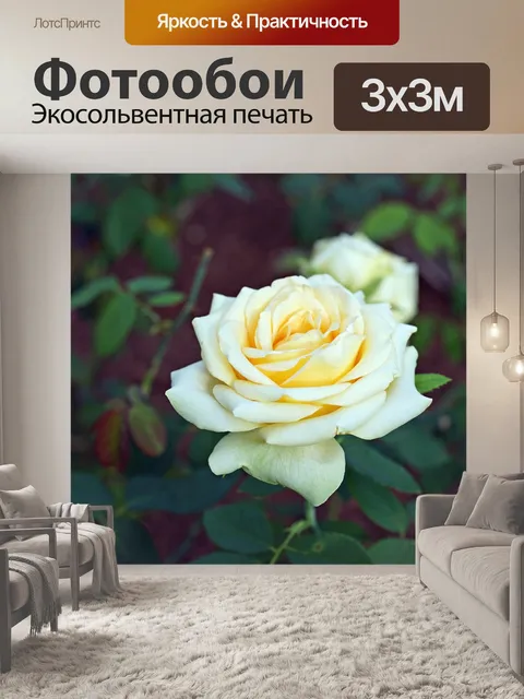 Фотообои Желтая роза