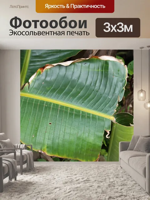 Фотообои Большой рваный зеленый лист в лесу