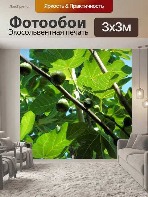Фотообои инжир