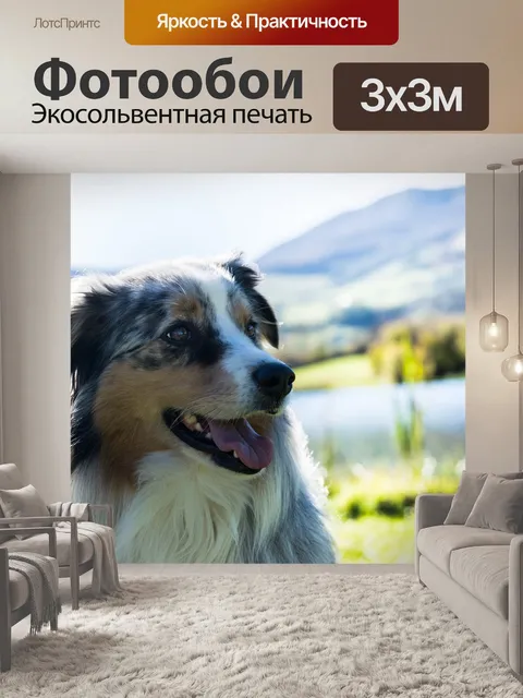 Фотообои Собаки
