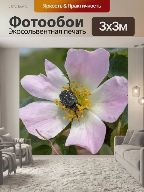 Фотообои Уайлдфлауэр