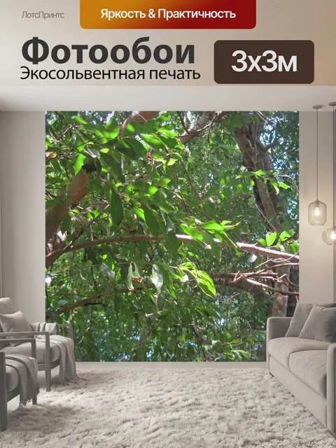 Фотообои листья дерева речной бухты