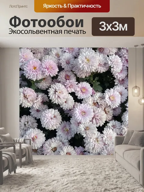 Фотообои Хризантема