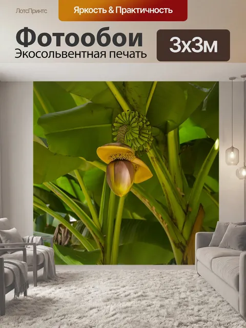 Фотообои Банан