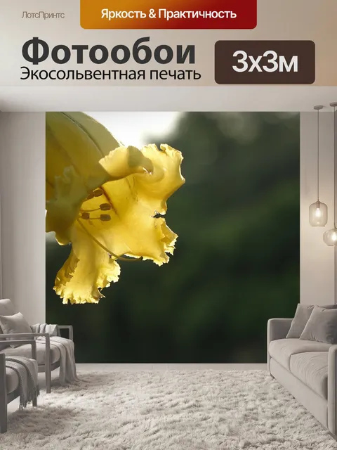 Фотообои Золотой кубок цветок